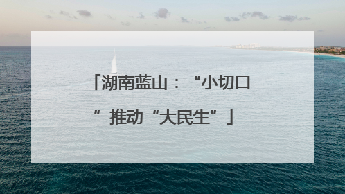 湖南蓝山：“小切口”推动“大民生”